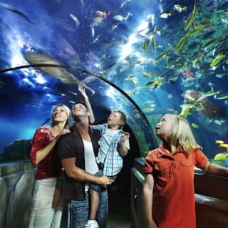 LEGOLAND® Billund 6