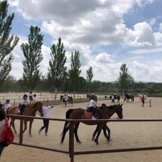 Horseback riding experience: lessons in the middle of nature 5