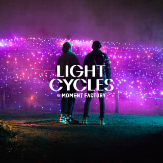 Light Cycles: Una passeggiata notturna che brilla attraverso la natura, la luce e il suono 3