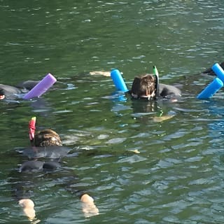 Manatee Swim and Wildlife Park with Upgrade Options from Orlando 4