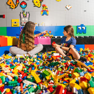 The Art of the Brick : Exposition d'art en LEGO® 4