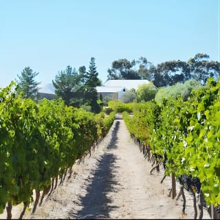 Wine Beer and Biltong Safari - Stellenbosch 6