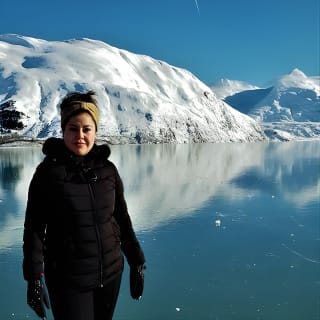 Anchorage to Wilderness Wildlife Glacier Value 17