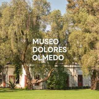 Dolores Olmedo Museum 2