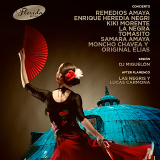Navidad Flamenca en Florida Retiro 1