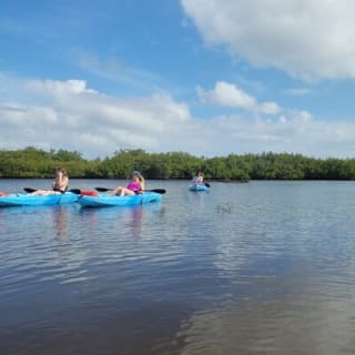 New Smyrna Dolphin and Manatee Kayak and SUP Adventure Tour 4