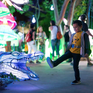 Luminosa 2026 — Miami, Reimagined in Light 5