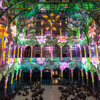 Enlightenment : un spectacle lumineux époustouflant sur les airs de Vivaldi 4