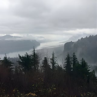 Explore Columbia River Gorge Half-Day Small-Group Tour  3
