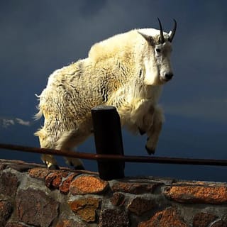 Mount Evans & Red Rocks Park Small Group Tour From Denver 2