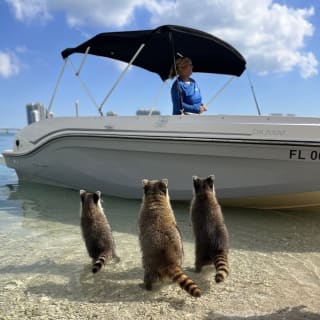 Miami Boat Tour vers Raccoon Island, Snorkeling au Haulover Sandbar & Billionaires Bunker 1