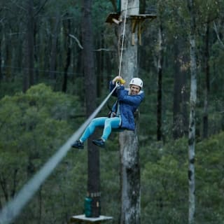 Forest Adventures Park Entry 3