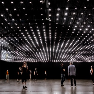 Rafael Lozano-Hemmer: Jardín inconcluso 4