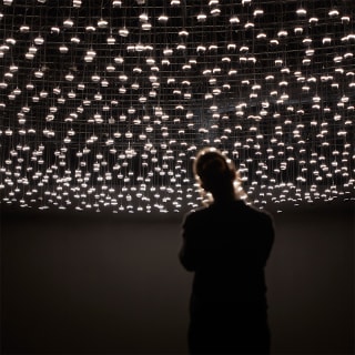 Rafael Lozano-Hemmer: Jardín inconcluso 8