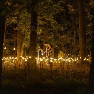 Rafael Lozano-Hemmer: Jardín inconcluso 2