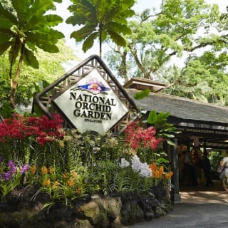 Singapore National Orchid Garden Tickets 1