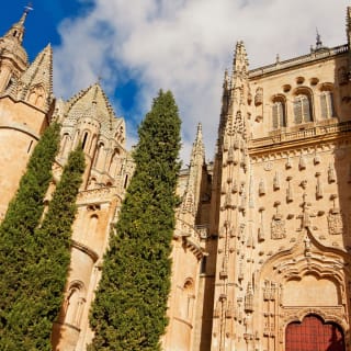 Ávila e Salamanca: Escursione di un giorno da Madrid 4