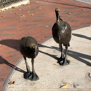 Asheville's Historic Smart Phone Guided App (GPS) Walking Tour 3