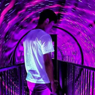 Admission to the Museum of Illusions 1