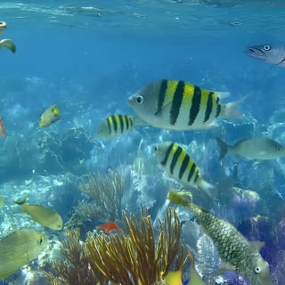 Culebra Snorkeling Tour by Catamaran from Fajardo 17