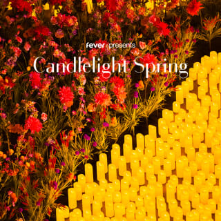 Candlelight Spring: Tribute to Coldplay 4
