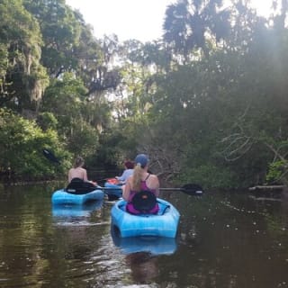 New Smyrna Dolphin and Manatee Kayak and SUP Adventure Tour 15