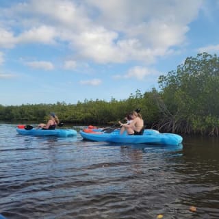 New Smyrna Dolphin and Manatee Kayak and SUP Adventure Tour 16