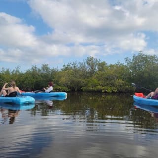 New Smyrna Dolphin and Manatee Kayak and SUP Adventure Tour 17