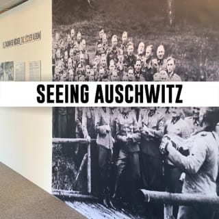 Seeing Auschwitz 2