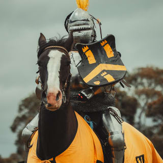 Geelong Medieval Festival 8