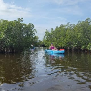 New Smyrna Dolphin and Manatee Kayak and SUP Adventure Tour 19