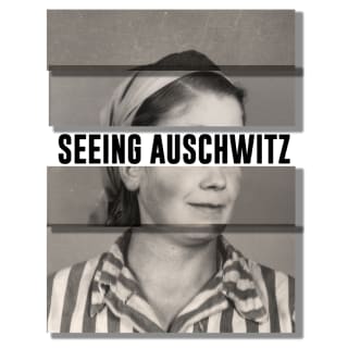 Seeing Auschwitz 4
