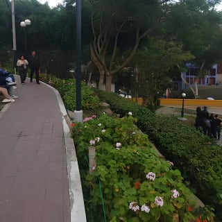 Tour en Bicicleta por Miraflores y Barranco 2