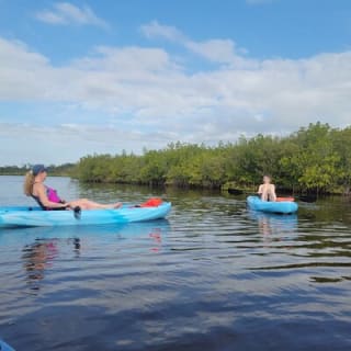 New Smyrna Dolphin and Manatee Kayak and SUP Adventure Tour 20