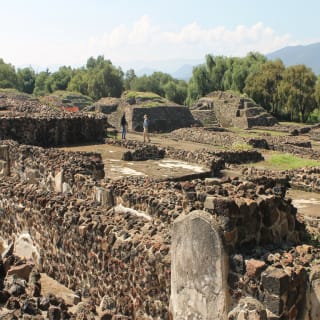 Tour guidato a Teotihuacan, Basilica di Guadalupe e Tlatelolco con pranzo opzionale 6