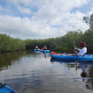 New Smyrna Dolphin and Manatee Kayak and SUP Adventure Tour 21