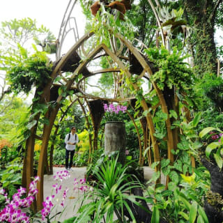 Singapore National Orchid Garden Tickets 6