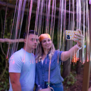 Luminosa 2026 — Miami, Reimagined in Light 7