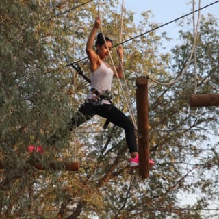 Aventura Parks Dubai: Dubai's largest Ghaf tree forest 4