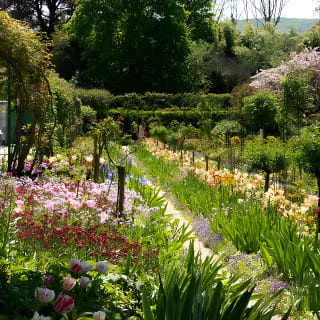 Tour guidato di mezza giornata con visita a casa di Monet e giardini da Parigi in minivan 8