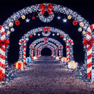 Winter Lantern Festival (Williamsburg, VA) 2