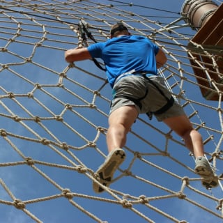 Aventura Parks Dubai: Dubai's largest Ghaf tree forest 3