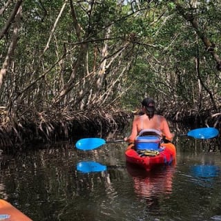 Mangrove Tunnels Pedal Kayak Eco-Tour in Anna Maria 1