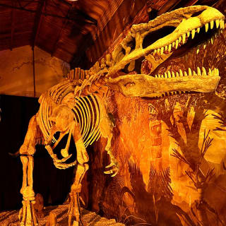 Viven Dinosaurios San Luis 5