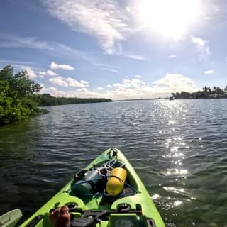 Mangrove Tunnels Pedal Kayak Eco-Tour in Anna Maria 2