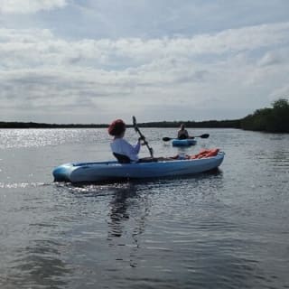 New Smyrna Dolphin and Manatee Kayak and SUP Adventure Tour 26