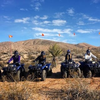 Halbtages-Tour im Mojave-Wüsten-ATV ab Las Vegas 4