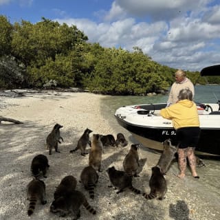 Miami Boat Tour vers Raccoon Island, Snorkeling au Haulover Sandbar & Billionaires Bunker 4