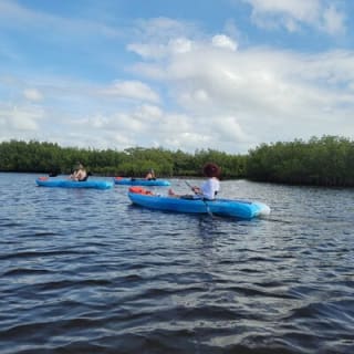 New Smyrna Dolphin and Manatee Kayak and SUP Adventure Tour 27