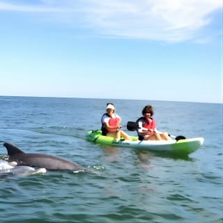 Tour Eco de Delfines en Kayak para Grupos Pequeños 8